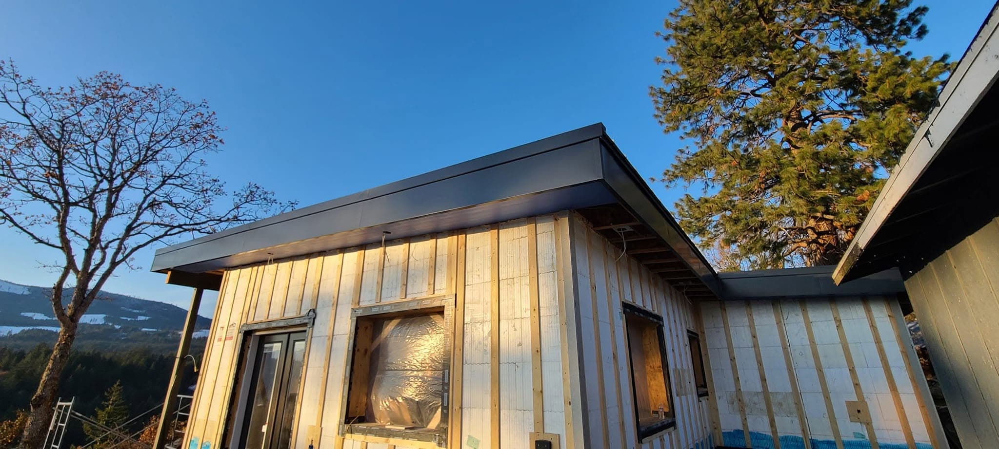 See's Candies roof leak repair in Hillsboro